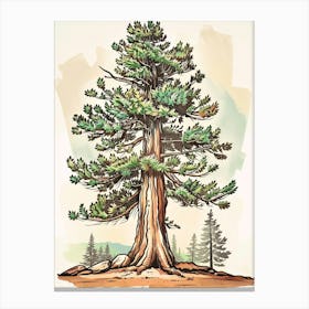 Sequoia Tree Storybook Illustration 1 Canvas Print