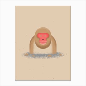 Snow Monkey Canvas Print