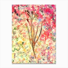 Impressionist Amaryllis Montana Botanical Painting in Blush Pink and Gold Canvas Print