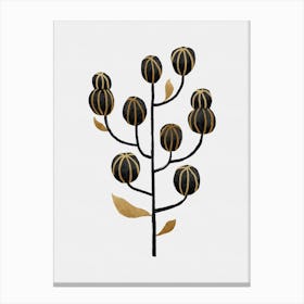 Black Gold Still Life I Canvas Print