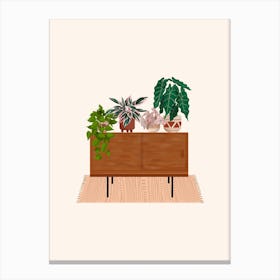 Small Plant Cabinet Canvas Print