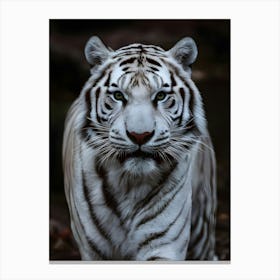 White Tiger 4 Canvas Print