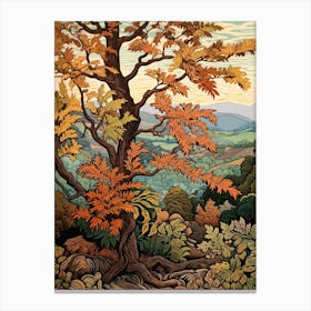 American Chestnut 3 Vintage Autumn Tree Print  Canvas Print
