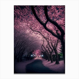 Cherry Blossoms Canvas Print