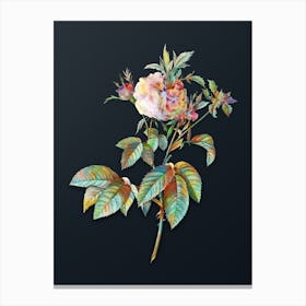 Vintage Pink Agatha Rose Botanical Watercolor Illustration on Dark Teal Blue n.0606 Canvas Print