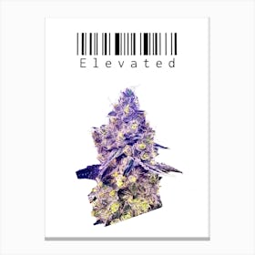 Cannabis Elevated Canvas Print