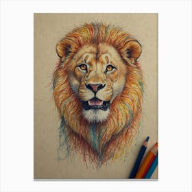 Lion Drawing 5 Canvas Print