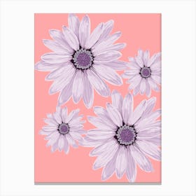 Daisies On A Pink Background Canvas Print