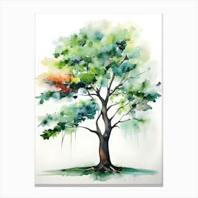 Watercolor Tree 2 Canvas Print