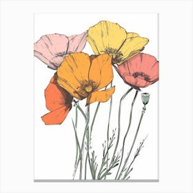 Poppies 134 Canvas Print