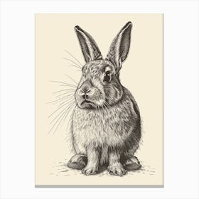 English Lop Blockprint Rabbit Illustration 10 Canvas Print