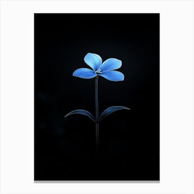 Blue Flower Canvas Print