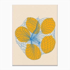 Five Lemons In A Net Bag Canvas Print