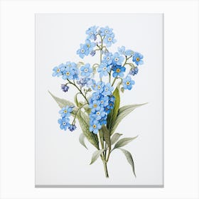 Forget Me Nots Flower Vintage Botanical 0 Canvas Print