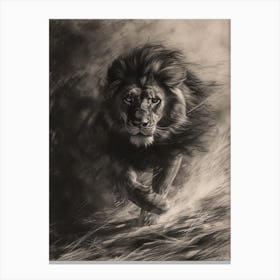 Barbary Lion Charcoal Drawing Hunting 4 Canvas Print