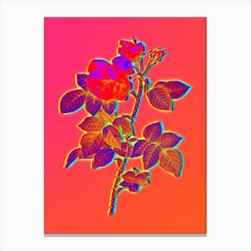 Neon Pink Bourbon Roses Botanical in Hot Pink and Electric Blue n.0275 Canvas Print