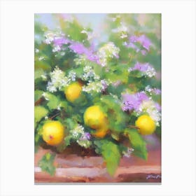Lemon Balm 2 Impressionist Painting Plant Canvas Print