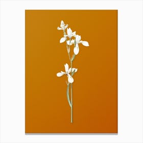 Vintage Siberian Iris Botanical on Sunset Orange n.0065 Canvas Print