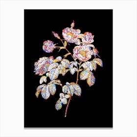 Stained Glass Tomentose Rose Mosaic Botanical Illustration on Black n.0296 Canvas Print