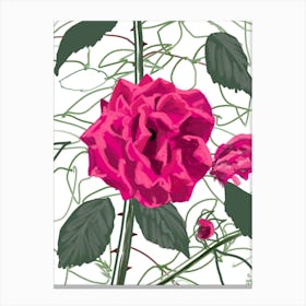 Strong Rose Canvas Print