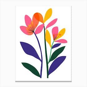 Flowers On White Background Canvas Print