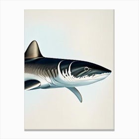 Oceanic Whitetip Shark Vintage Canvas Print