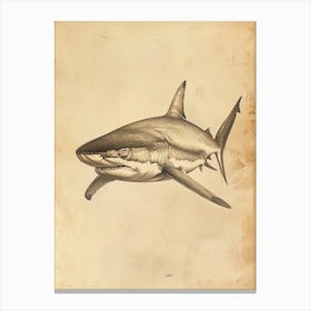 Vintage Bull Shark Pencil Illustration 1 Canvas Print