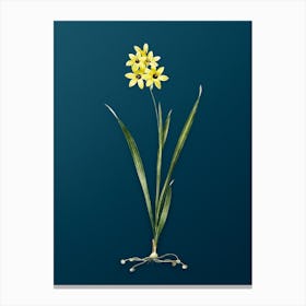 Vintage Ixia Fusco Citrina Botanical Art on Teal Blue n.0598 Canvas Print