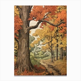 Poplar 3 Vintage Autumn Tree Print  Canvas Print