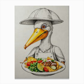 Mexican Pelican Canvas Print