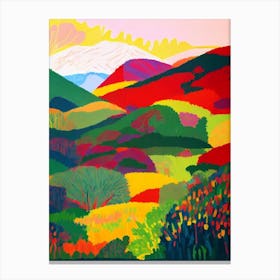 Amboró National Park Bolivia Abstract Colourful Canvas Print