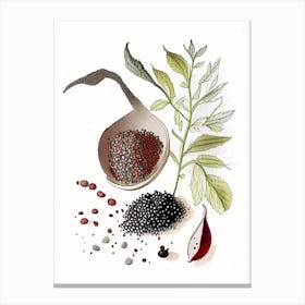Black Pepper Spices And Herbs Pencil Illustration 2 Canvas Print