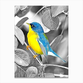 Bird In The Tree (2) Canvas Print