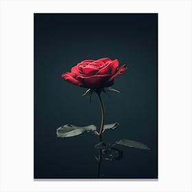 Single Red Rose 11 Canvas Print