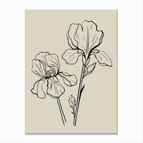 Iris Flower Canvas Print