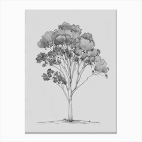 Eucalyptus Tree Minimalistic Drawing 1 Canvas Print