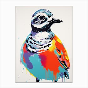 Andy Warhol Style Bird Grey Plover 1 Canvas Print