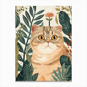 Scottish Fold Cat Storybook Illustration 4 Canvas Print