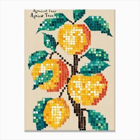 Apricot Tree Canvas Print