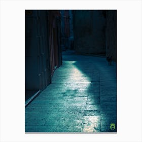 Shadows On The Street 20210101 42ppub Canvas Print