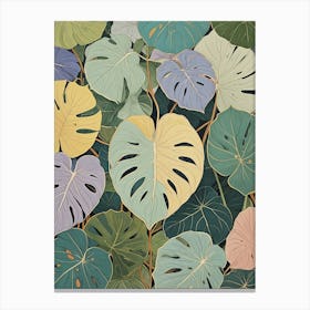 Monstera Leaves no1 Canvas Print