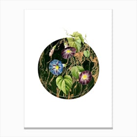 Vintage Morning Glory Botanical in Gilded Marble on Clean White Canvas Print