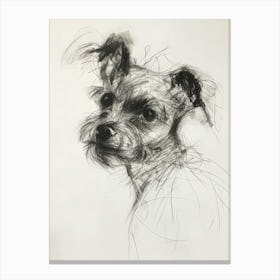 Terrier Dog Charcoal Line Canvas Print