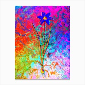 Lady Tulip Botanical in Acid Neon Pink Green and Blue n.0191 Canvas Print