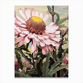 Flower Illustration Gaillardia 3 Canvas Print