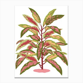 Colourful Croton Plant Canvas Print