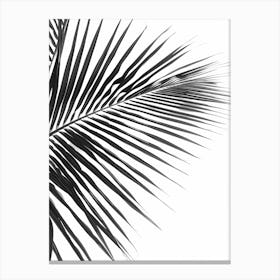 Black And White Palm Leaf Canvas Print