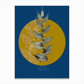 Vintage Botanical Twistedstalk on Circle Yellow on Blue Canvas Print