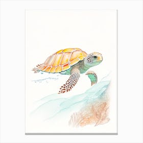 A Single Sea Turtle In Coral Reef, Sea Turtle Pencil Illustration 1 Canvas Print