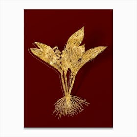 Vintage Lily of the Valley Botanical in Gold on Red n.0185 Canvas Print